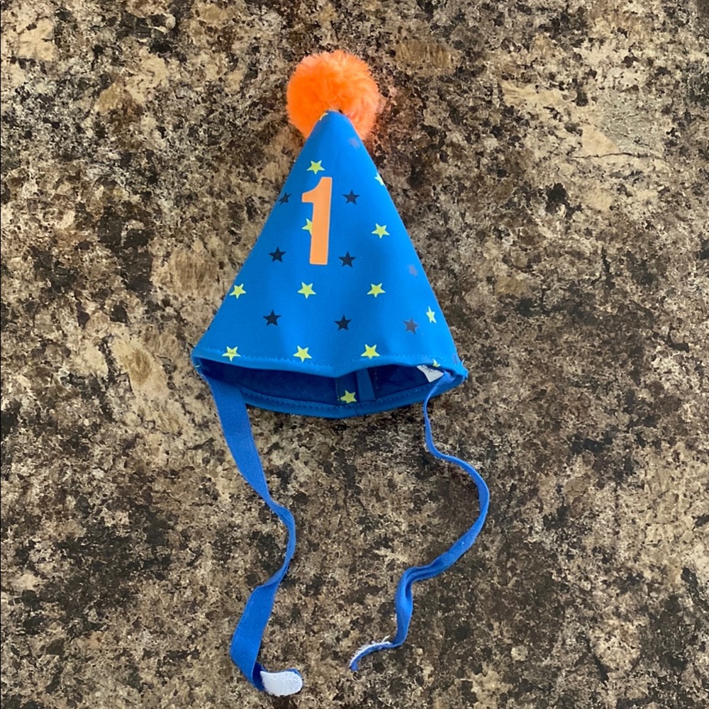 One Year Birthday or Adoption Anniversary Pet Party Hat 🎉